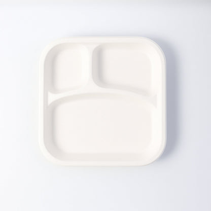 Dinner Plate