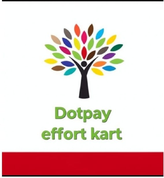 dotpayeffortkart.com